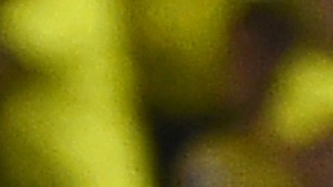 Todo sucedió en la llamada 'Noche Amarilla' de Barcelona de Guyaquil.