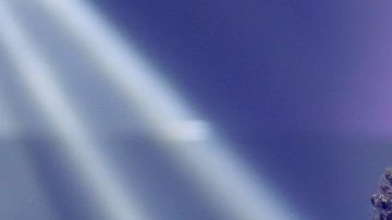 Ozuna en Las Vegas, Nevada.