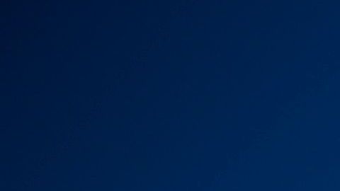 Nueva York es de las entidades que más protegen a inmigrantes que rentan.