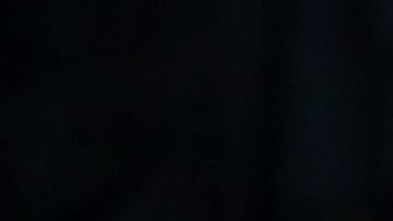 Ed Woodward y Sir Alex Ferguson.