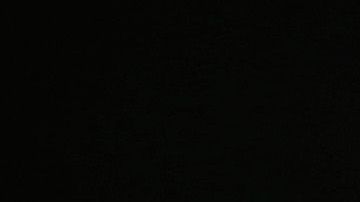Javier Hernández conoció a Diego Dreyfus cuando militaba en el West Ham.