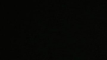 Javier Hernández conoció a Diego Dreyfus cuando militaba en el West Ham.