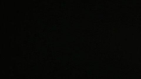 Javier Hernández conoció a Diego Dreyfus cuando militaba en el West Ham.