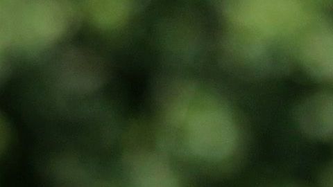 El carpintero Greg Zanis con una cruz para una de las víctimas del tiroteo en Virginia Beach, el 2 de junio de 2019.