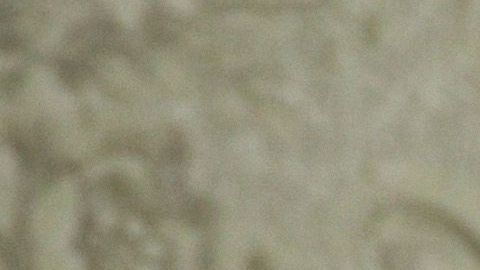 John Bolton fue despedido por Trump en septiembre pasado.