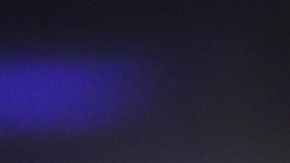 El senador Bernie Sanders.