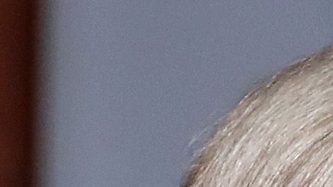 La testimonio de Bolton en el Senado sería clave.