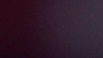 Carlos Vela y Carles Gil están por encima del nivel de Chicharito, según el DT de New England Revolution.