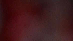 Chicharito continuará su carrera en la MLS.