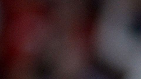 Chicharito continuará su carrera en la MLS.