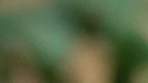 Meghan Markle y el príncipe Harry.