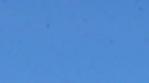 Carlos Beltrán fue presentado por los Mets el 4 de noviembre.