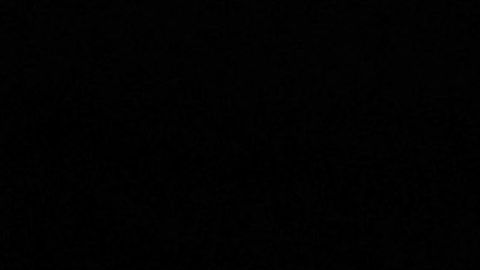 La voz de Eugenio Derbez es inconfundible.