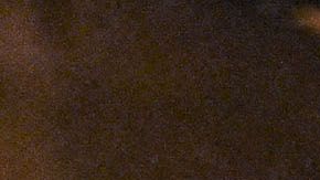 Cory Booker deja la contienda presidencial.