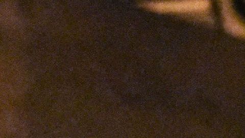 Cory Booker deja la contienda presidencial.