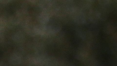 Katyal insta al presidente a declarar ante el Senado por su 'impeachment'.