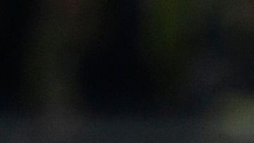 El Borussia Dortmund tasó al jugador en casi 150 millones de euros el pasado diciembre.