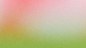 Lozano ha jugado poco con Gattuso.