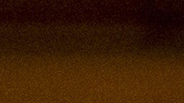 La representante García, de Texas.