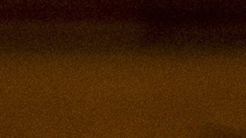 La representante García, de Texas.