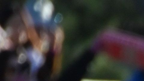 El Desfile de la Rosas.