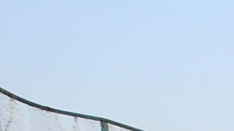 Todos los que viajaban en el avión murieron.