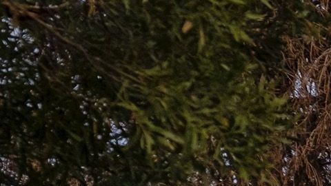 El ganador no contaba con seguro de casa.