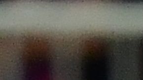 El espontáneo fue sacado por los cuerpos de seguridad.