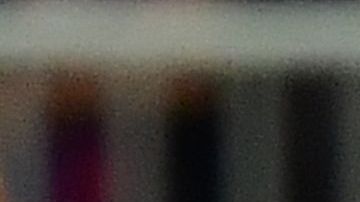 El espontáneo fue sacado por los cuerpos de seguridad.