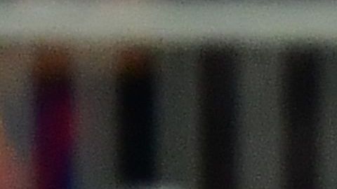 El espontáneo fue sacado por los cuerpos de seguridad.