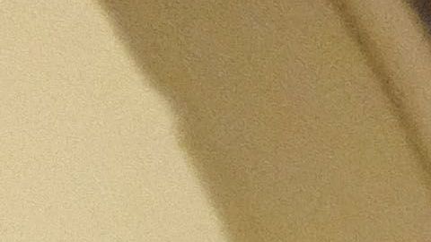 Nancy Pelosi anunció la votación de los "gerentes" para el juicio político a Trump.