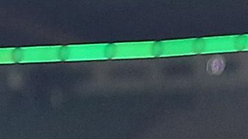 Wolfsburgo causó sensación en redes sociales.