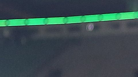 Wolfsburgo causó sensación en redes sociales.