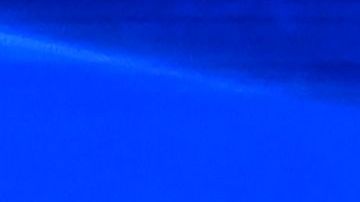 Warren, Biden y Sanders, los favoritos de la nominación demócrata.