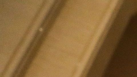 EEUU podría sumarse a la lista de alerta sanitaria.