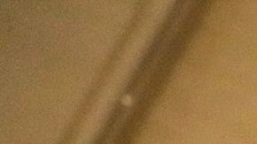 EEUU podría sumarse a la lista de alerta sanitaria.