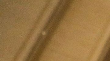 EEUU podría sumarse a la lista de alerta sanitaria.