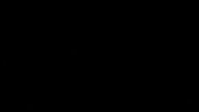 Joe Biden en campaña.