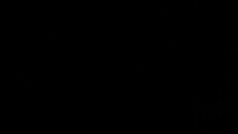 Joe Biden en campaña.