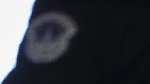 Marsha Blackburn es senadora por Tennesse.