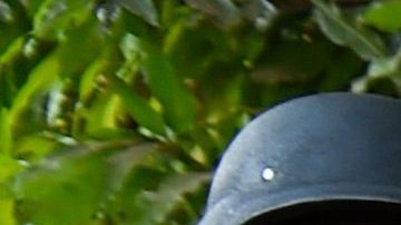 Frenados por "el muro de AMLO".