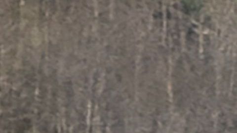 Bryant se sumó a una larga lista de deportistas que han fallecido tras accidentes en el aire.