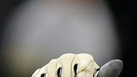 La cónyuge de Cameron Jordan tomó el teléfono del futbolista y conversó con la amiga de la cual sospechaba.