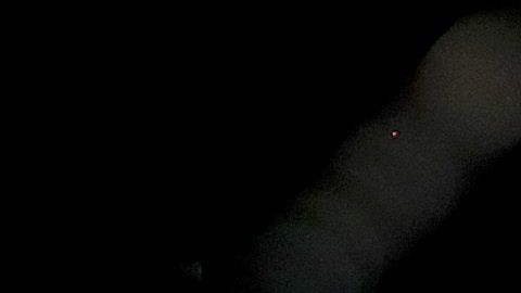 McGregor solo quiere seguir peleando.