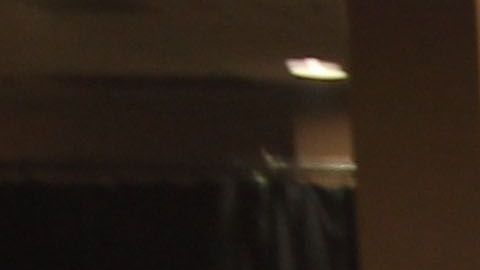 Marc Anthony y Shannon de Lima.