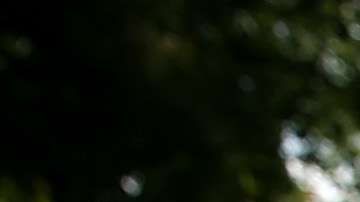 La tierra tiembla a diario, pero no siempre se sienten los movimientos.