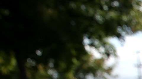 La tierra tiembla a diario, pero no siempre se sienten los movimientos.