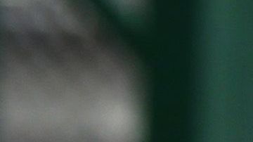 La huella de los niños enjaulados por ICE.