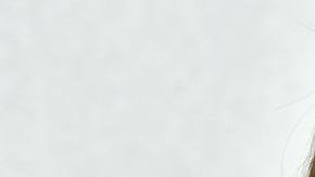 Cameron Diaz se jubiló para dedicarse a su matrimonio.