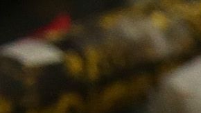 U.S. Post Service Handles Increased Delivery Load For Holiday Season